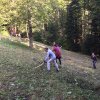 Arbeitstag NVVE 2017